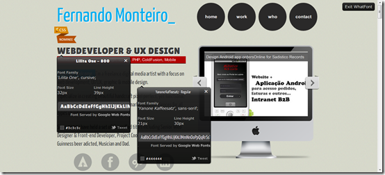 Fernando Monteiro UX Designer